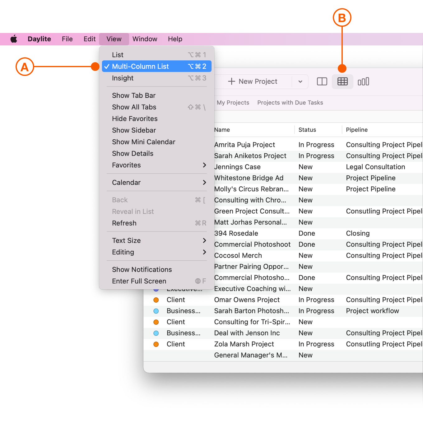 Viewing the Multi-Column List