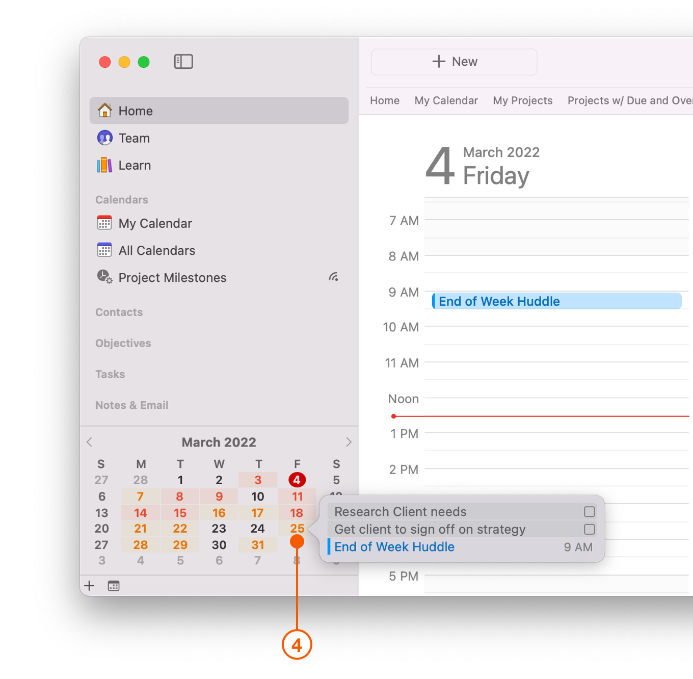 Daylite Sidebar showing Mini Calendar