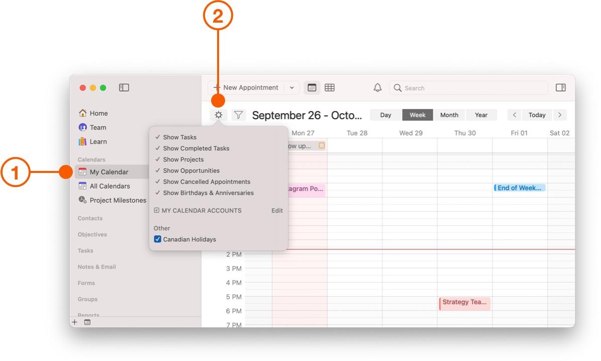 My Calendar View showing calendar view options