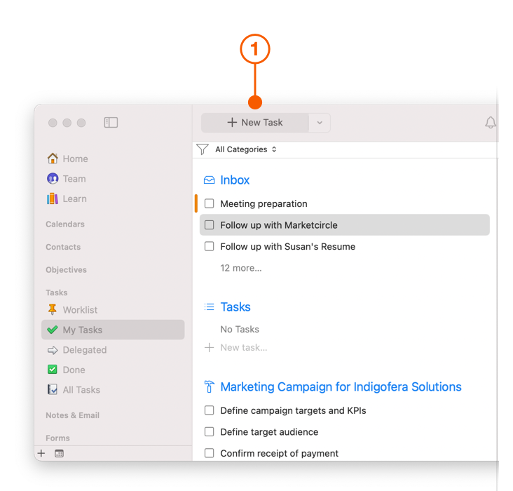 My Tasks View showing New Task button