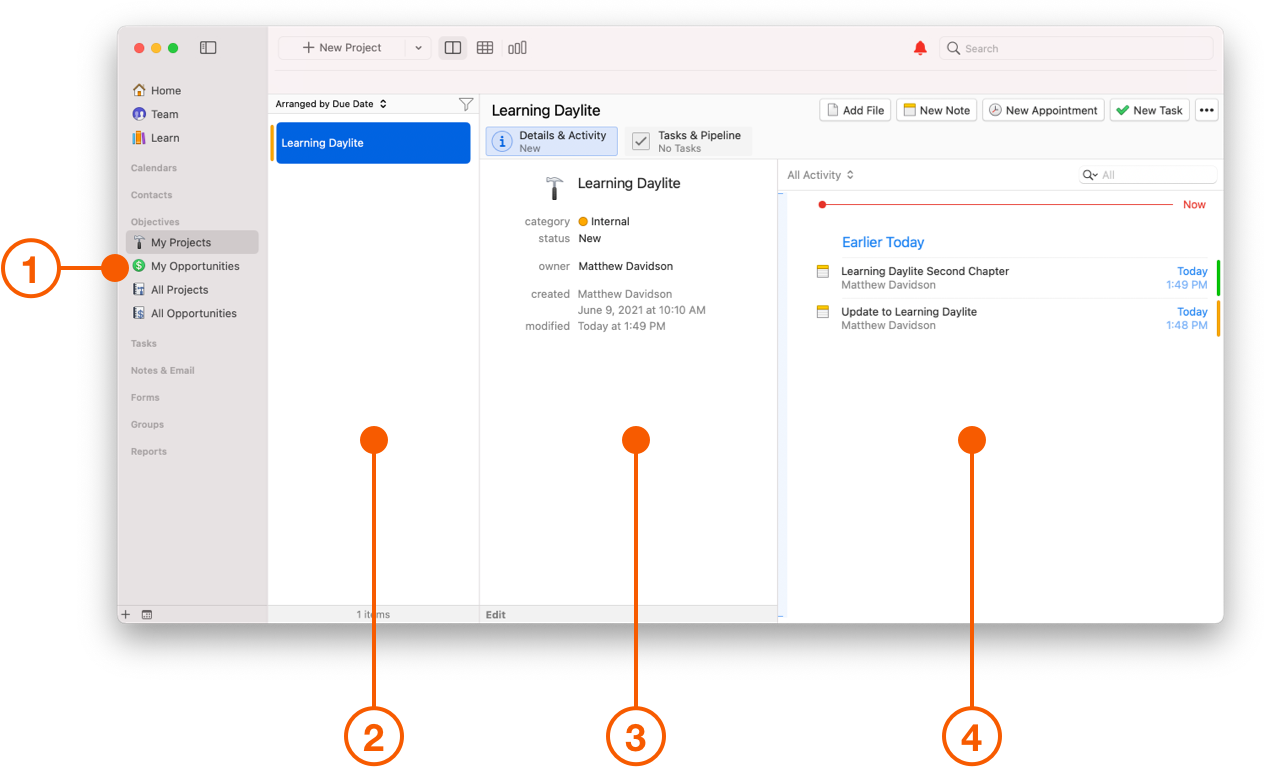 Daylite Objectives screen showing Details and Activity View