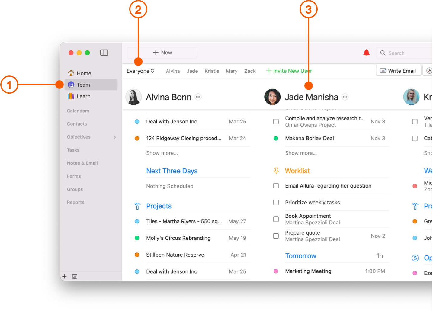 Team View showing team member schedules
