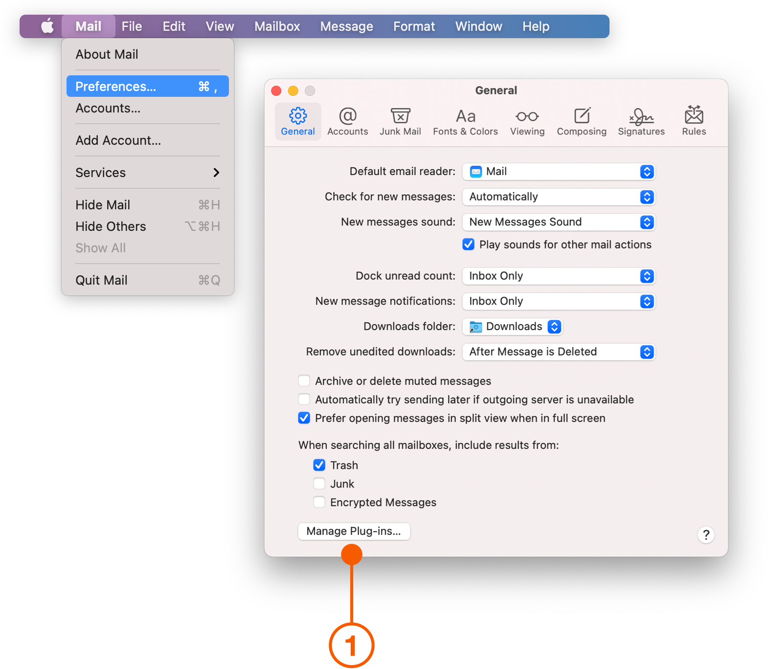 Mail Preferences window showing Manage Plugins
